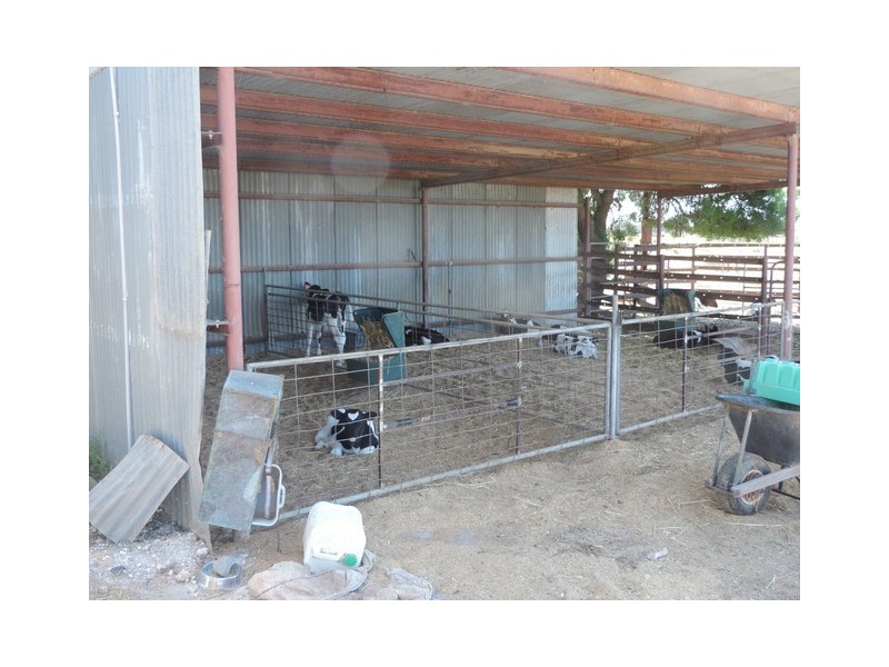 379 Kervins Road, Cohuna VIC 3568