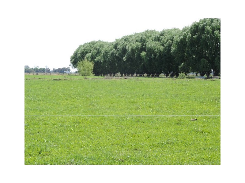 379 Kervins Road, Cohuna VIC 3568