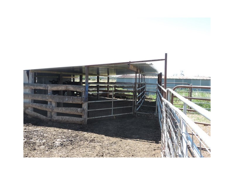 379 Kervins Road, Cohuna VIC 3568