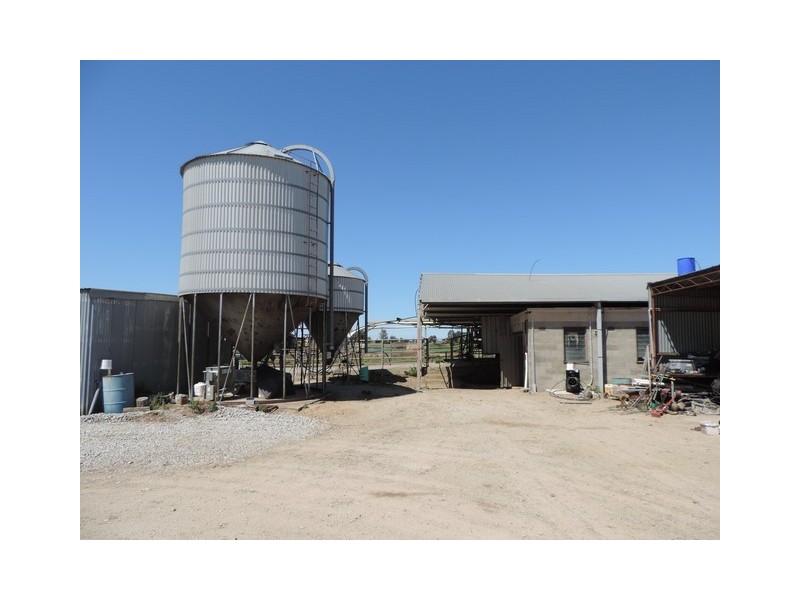 379 Kervins Road, Cohuna VIC 3568