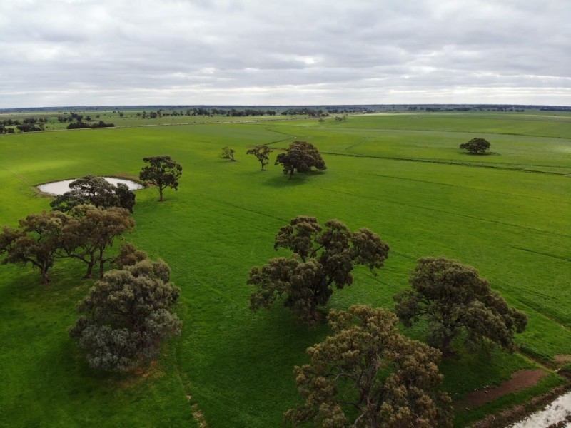 Leitchville-Kerang Road, Cohuna VIC 3568