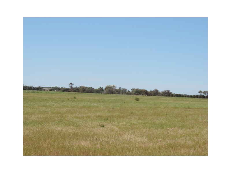 Leitchville-Kerang Road, Cohuna VIC 3568