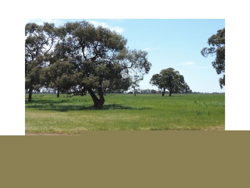 Leitchville-Kerang Road, Cohuna VIC 3568
