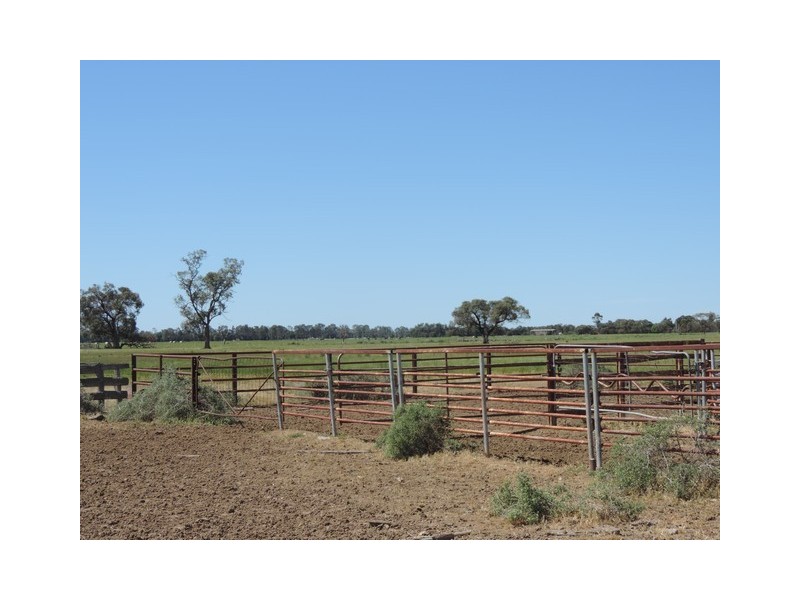 Leitchville-Kerang Road, Cohuna VIC 3568
