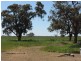 Leitchville-Kerang Road, Cohuna VIC 3568
