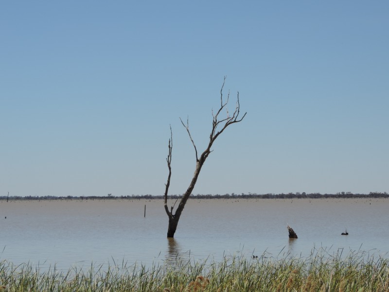 Mitiamo-Kow Swamp Road, Leitchville VIC 3567