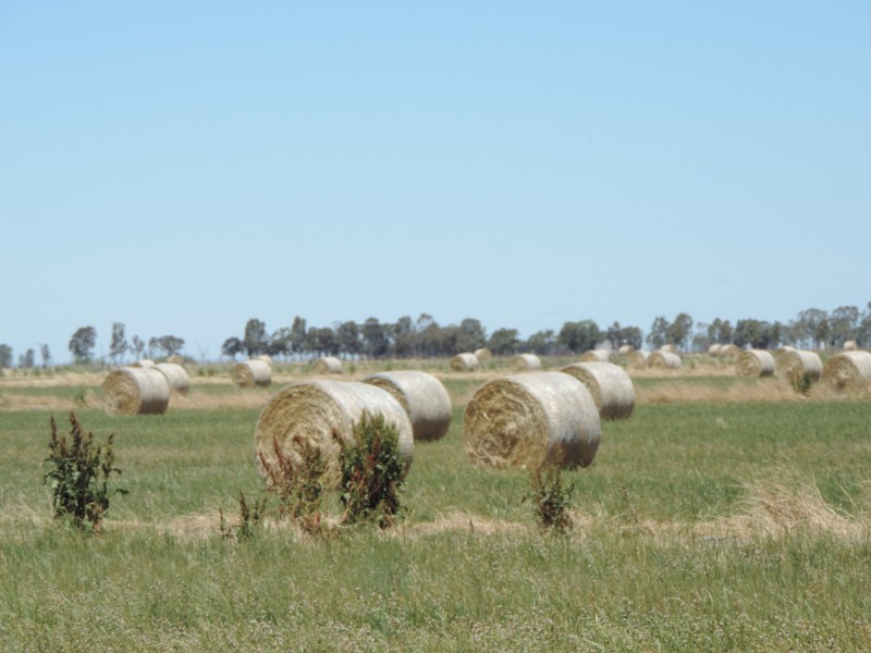 Mitiamo-Kow Swamp Road, Leitchville VIC 3567