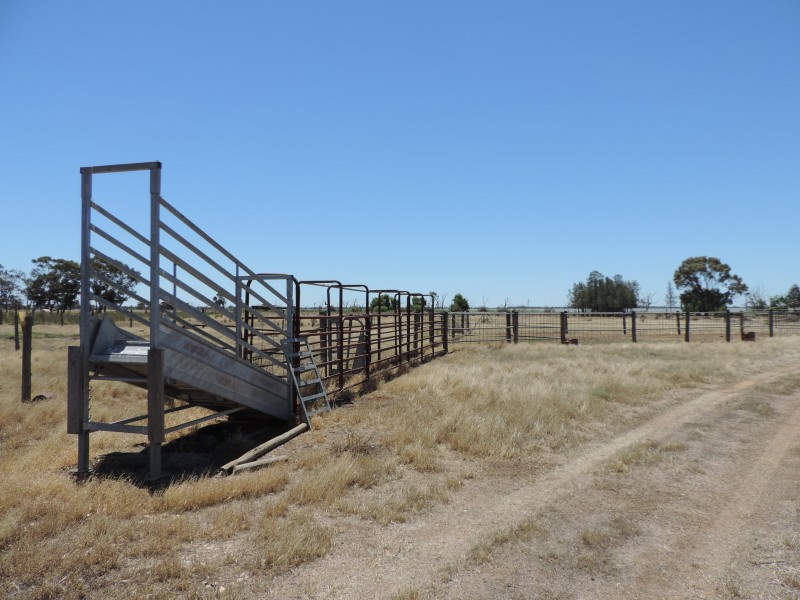 Mitiamo-Kow Swamp Road, Leitchville VIC 3567
