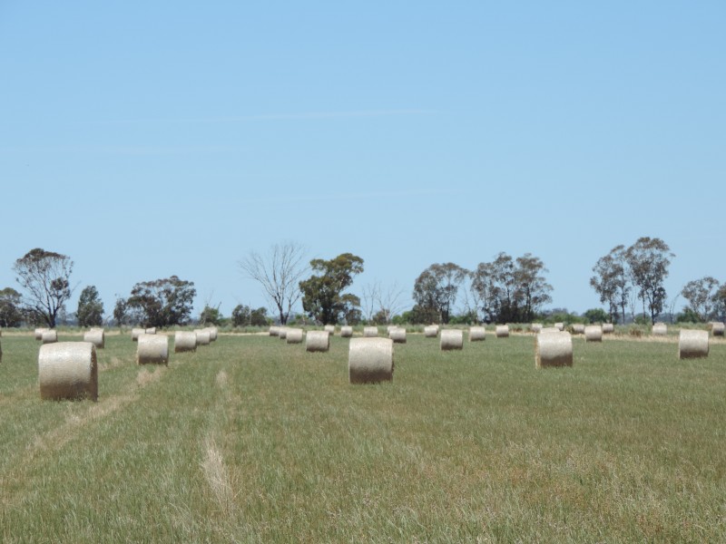 Mitiamo-Kow Swamp Road, Leitchville VIC 3567