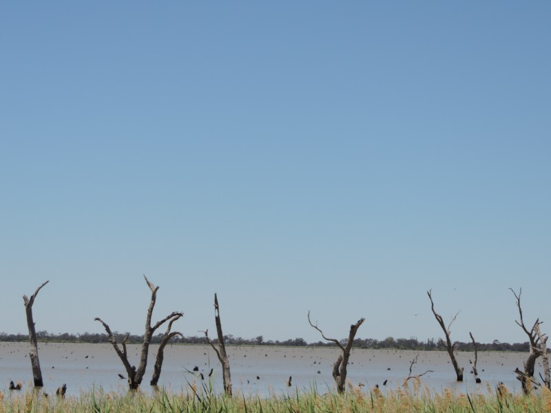 Mitiamo-Kow Swamp Road, Leitchville VIC 3567