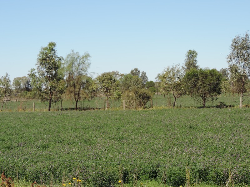 5668 Murray Valley Highway, Wee Wee Rup VIC 3568