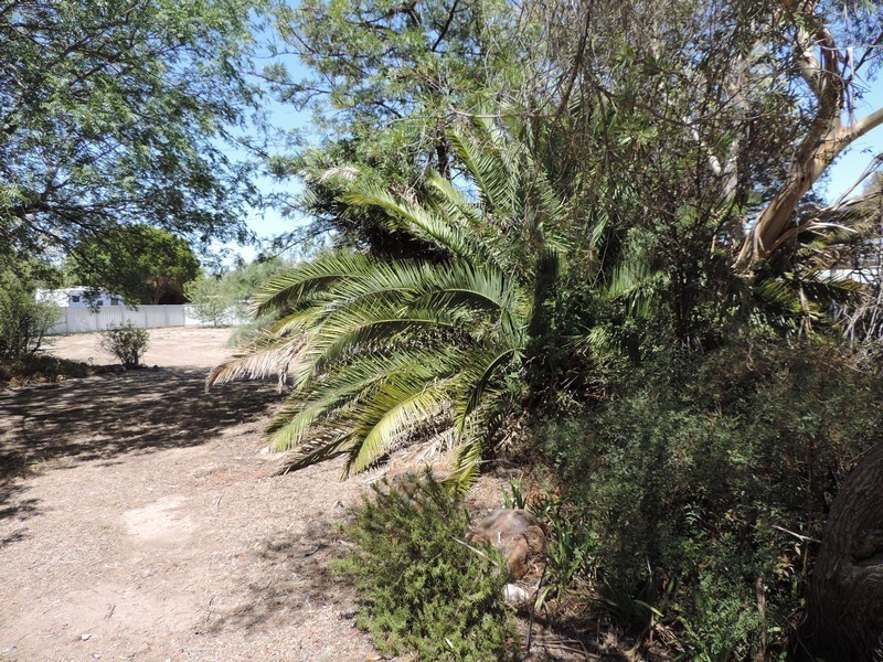 29 Channel Street, Cohuna VIC 3568