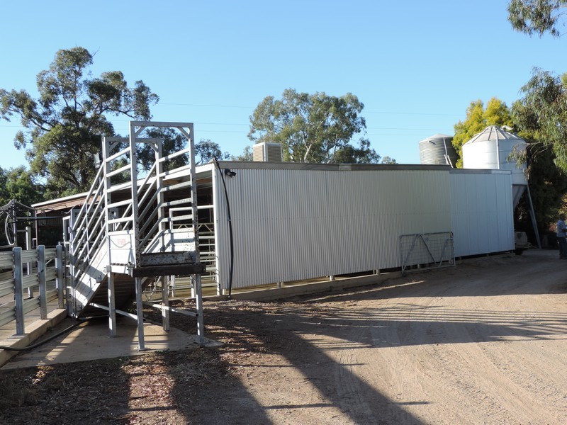 95 Cleaves Road, Wee Wee Rup VIC 3568