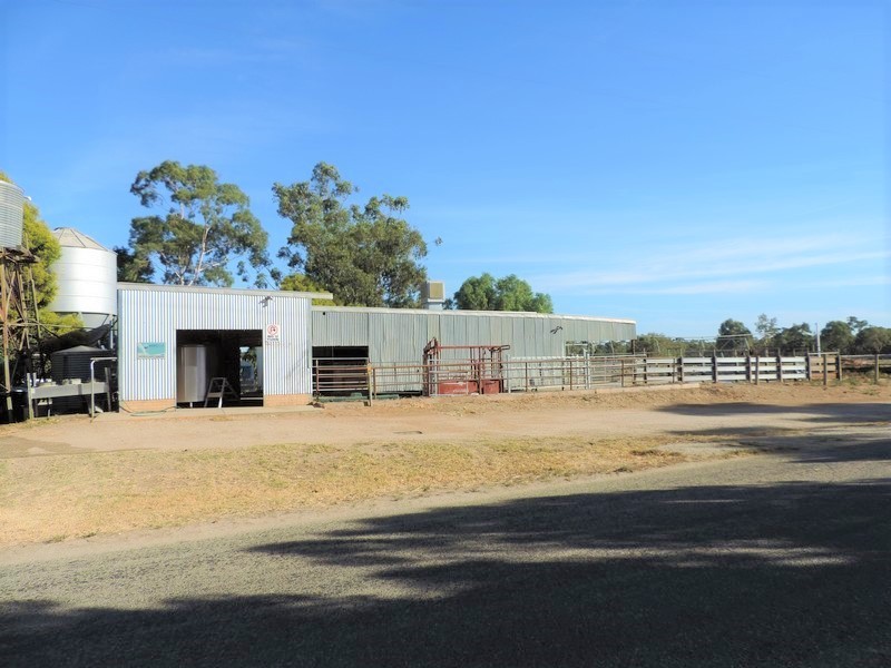 95 Cleaves Road, Wee Wee Rup VIC 3568