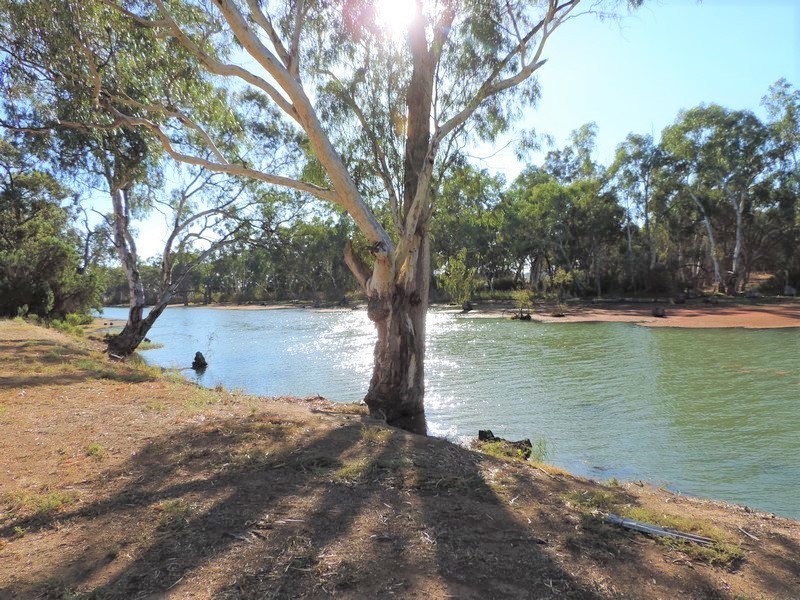 95 Cleaves Road, Wee Wee Rup VIC 3568