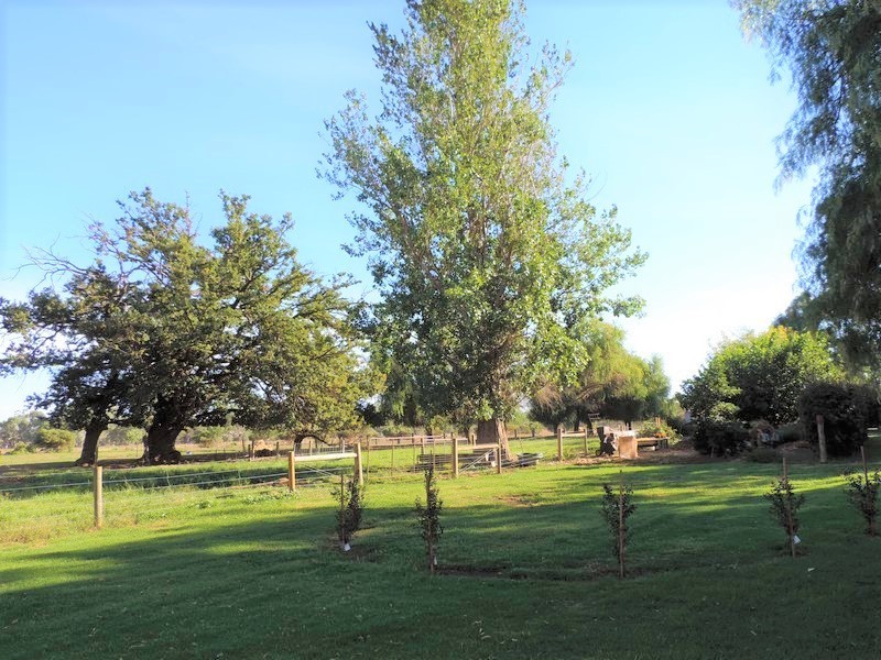 95 Cleaves Road, Wee Wee Rup VIC 3568