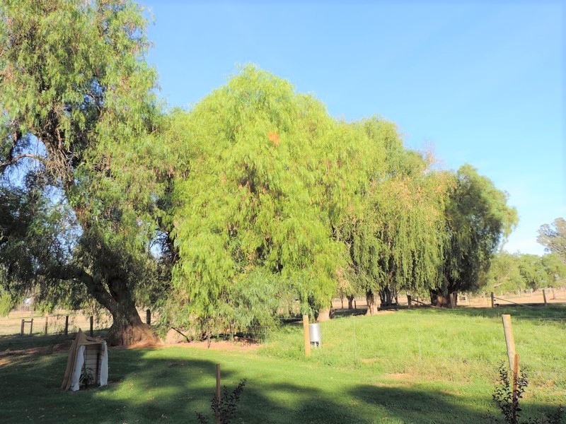 95 Cleaves Road, Wee Wee Rup VIC 3568