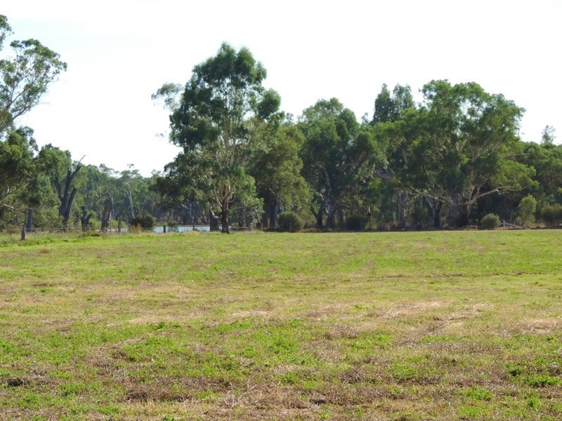 95 Cleaves Road, Wee Wee Rup VIC 3568