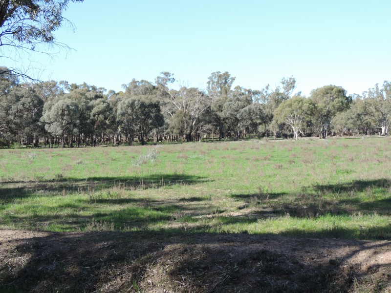 61A Sternberg Road, Patho VIC 3564