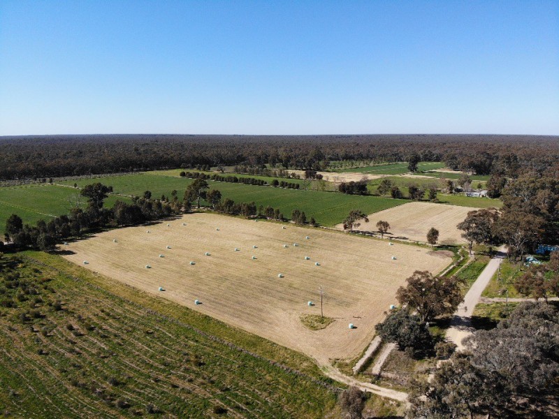 39 Tickells Road, Leitchville VIC 3567