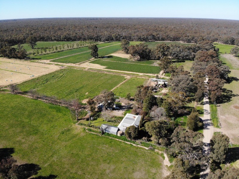 39 Tickells Road, Leitchville VIC 3567