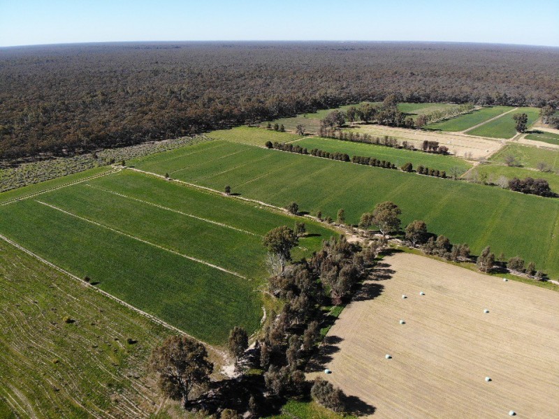 39 Tickells Road, Leitchville VIC 3567