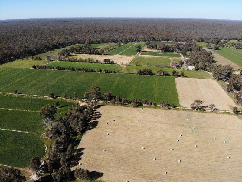 39 Tickells Road, Leitchville VIC 3567