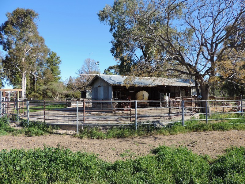 39 Tickells Road, Leitchville VIC 3567