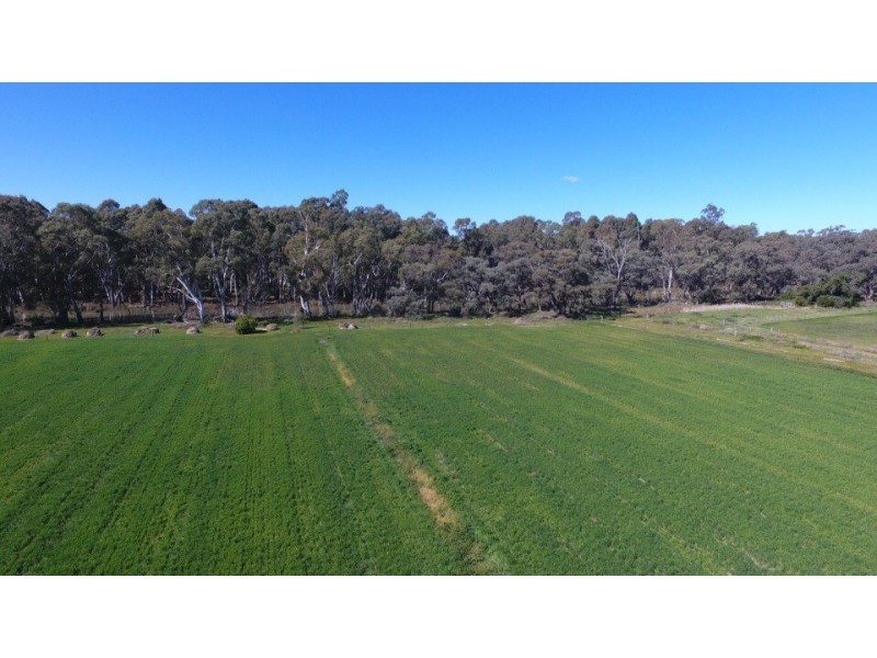 956 Cohuna-Koondrook Road, Gannawarra VIC 3568