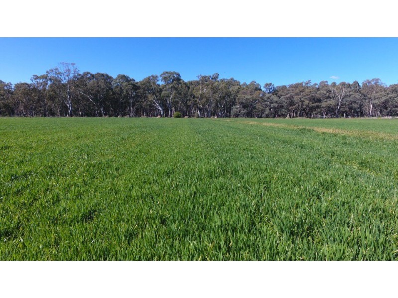 956 Cohuna-Koondrook Road, Gannawarra VIC 3568