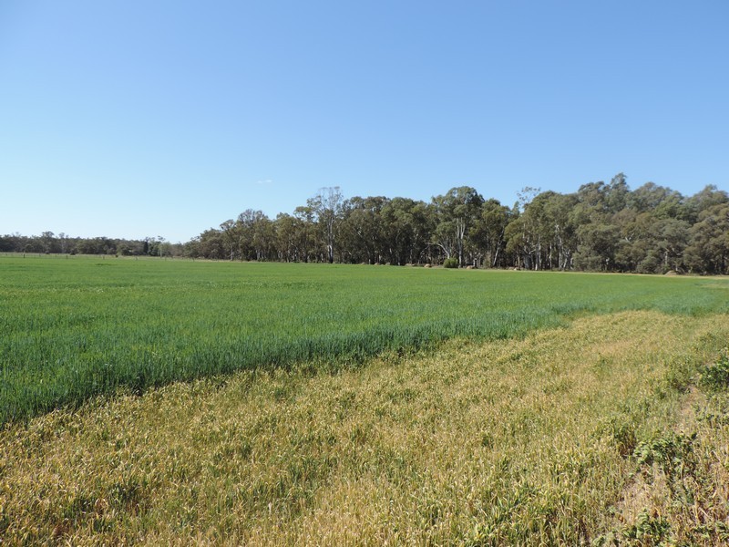 956 Cohuna-Koondrook Road, Gannawarra VIC 3568