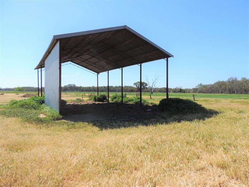 956 Cohuna-Koondrook Road, Gannawarra VIC 3568