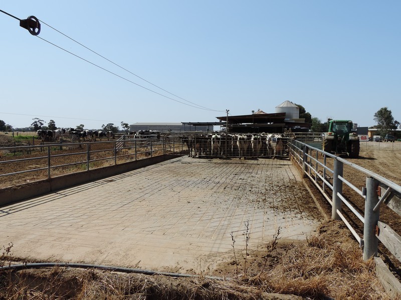 285 Mead Post Office Road, Mead VIC 3568