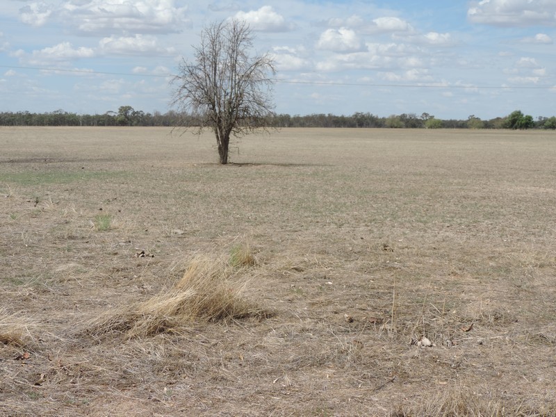 371 Cohuna Island Road, Cohuna VIC 3568