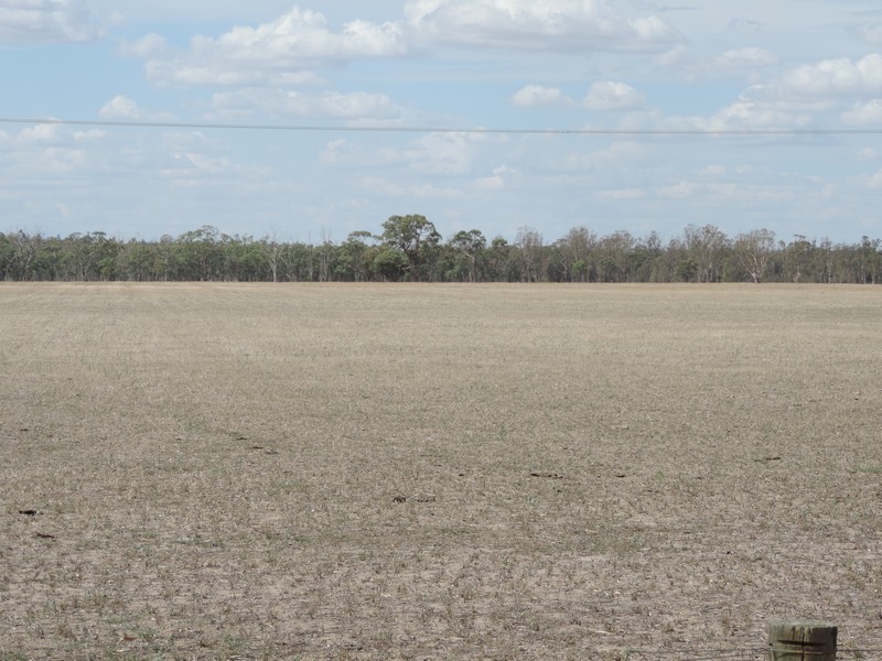 371 Cohuna Island Road, Cohuna VIC 3568