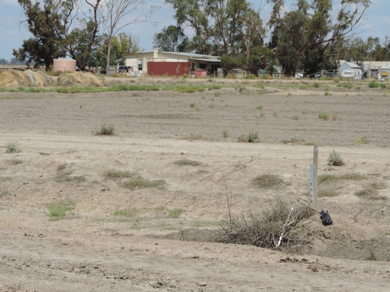 165 Guilmartin Road, Murrabit VIC 3579