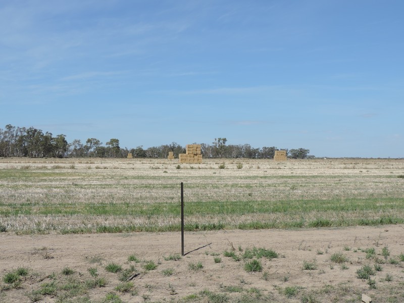 165 Guilmartin Road, Murrabit VIC 3579