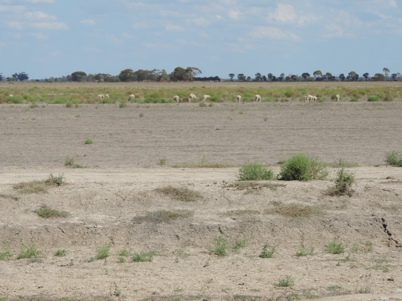 165 Guilmartin Road, Murrabit VIC 3579