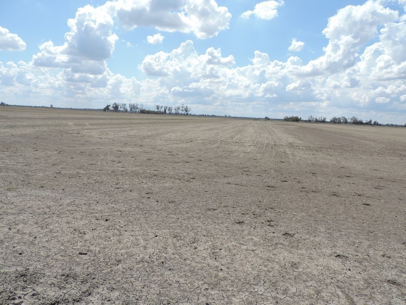 165 Guilmartin Road, Murrabit VIC 3579