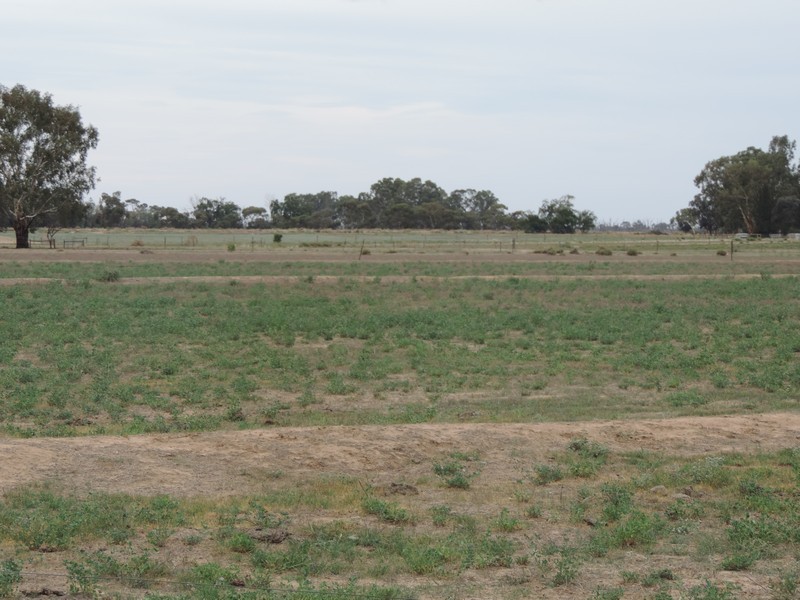 165 Guilmartin Road, Murrabit VIC 3579