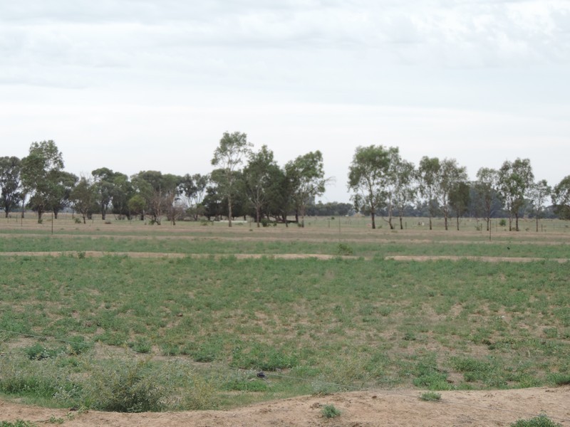 165 Guilmartin Road, Murrabit VIC 3579