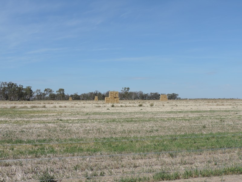 165 Guilmartin Road, Murrabit VIC 3579