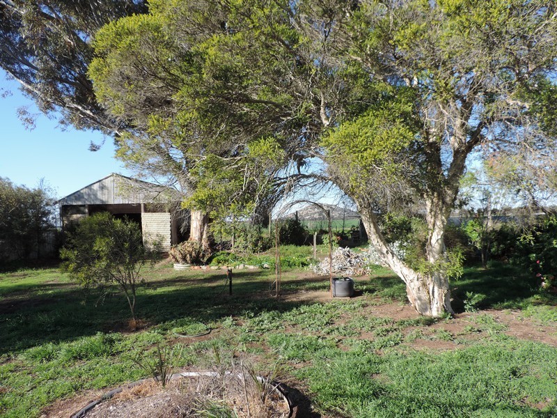 70 KELLY STREET, Pyramid Hill VIC 3575