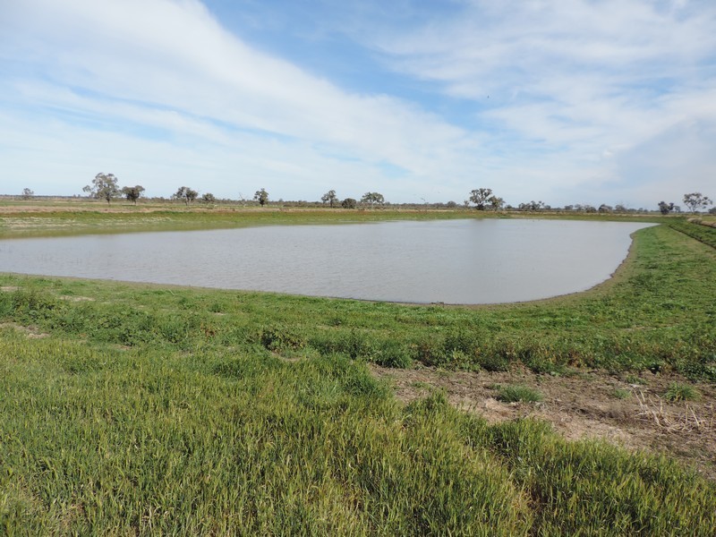 1433 LEITCHVILLE-KERANG ROAD, Mcmillans VIC 3568