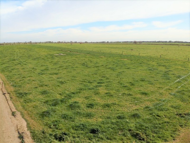 1433 LEITCHVILLE-KERANG ROAD, Mcmillans VIC 3568