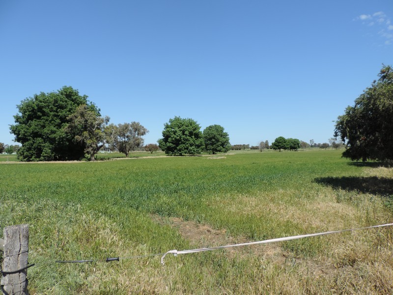 83 Stirlings Road, Cohuna VIC 3568