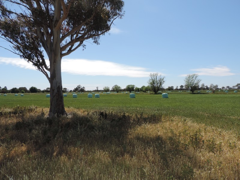 83 Stirlings Road, Cohuna VIC 3568
