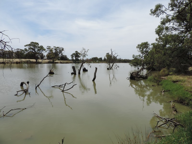 173 PATHO SCHOOL ROAD, Patho VIC 3564