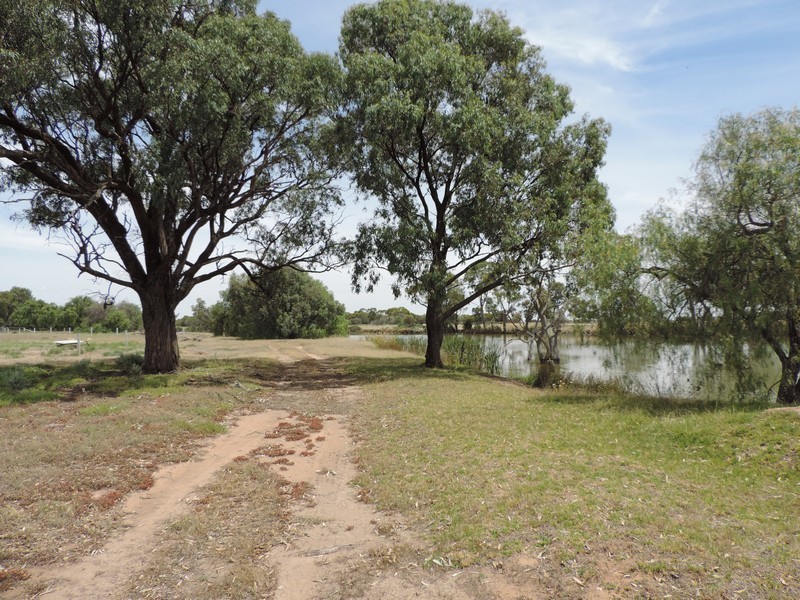 173 PATHO SCHOOL ROAD, Patho VIC 3564