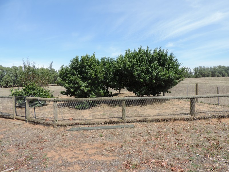 173 PATHO SCHOOL ROAD, Patho VIC 3564